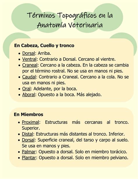 Solution T Rminos B Sicos Anatom A Veterinaria Studypool