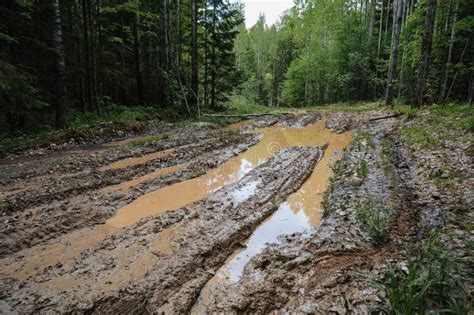 Forest Road With Muddy Ruts With Water And Puddles Among Trees Stock