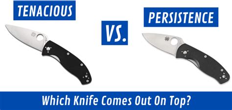 Spyderco Tenacious Vs Persistence [Which Knife Is Better For You ...