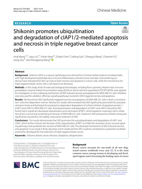 Pdf Shikonin Promotes Ubiquitination And Degradation Of Ciap