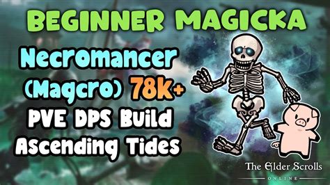 Eso Beginner Magicka Necromancer Magcro K Pve Dps Build Ascending