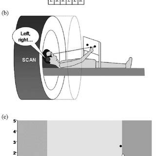 Brain Regions Activated By Visuo Motor Control Pointing Clicking