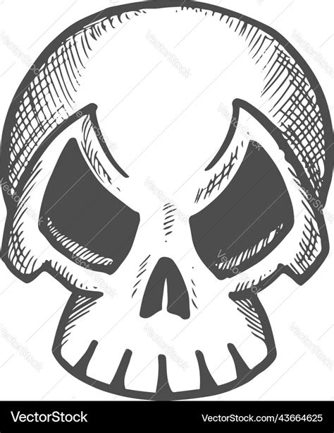 Toothed human skull isolated angry skeleton face Vector Image