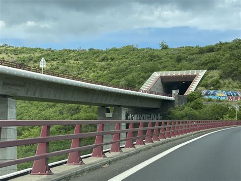 Carambolage Matinal Sur La Route Des Tamarins Direction St Denis