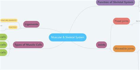 Muscular And Skeletal System Mindmeister Mind Map