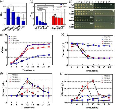 Downregulation Of Ammonium Uptake Improves The Growth And Tolerance Of