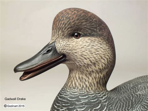 Gadwall Drake Photo Packet - Godin Art