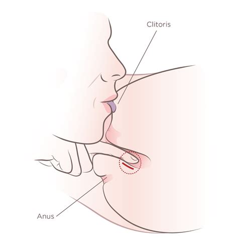 POWERFUL PUSSY EATING TECHNIQUES THAT WILL MAKE HER CROWN THE KING