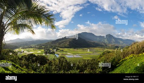 Hanalei valley lookout hi-res stock photography and images - Alamy