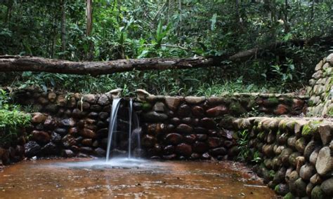 O Que Fazer Na Chapada Do Araripe Turismo De Natureza