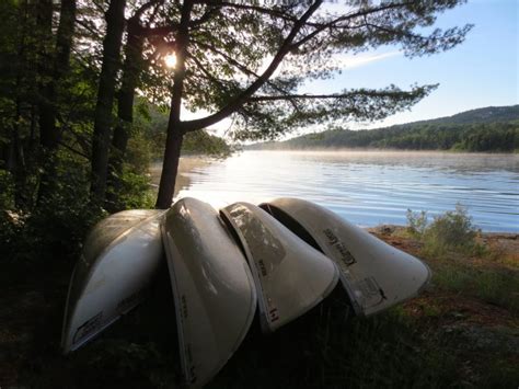 Ultimate Guide to Camping in Killarney Provincial Park