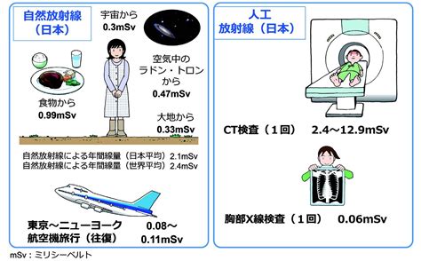 環境省放射線による健康影響等に関するポータルサイト ③ 日常生活における被ばく