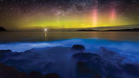 Bioluminescence Beach Wallpaper