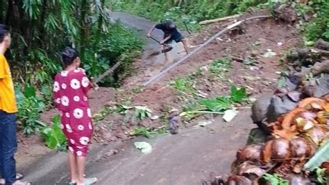 Diguyur Hujan Deras Tebing Di Borobudur Longsor Hingga Tutup Akses Jalan