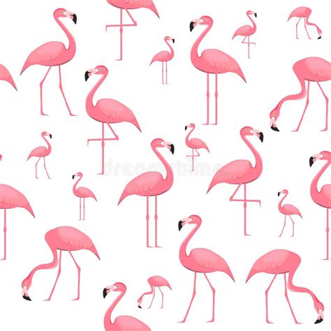 Papel De Parede Sem Costura Flamingo Pássaros Flamingos Em Fundo