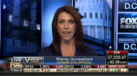 Mandy Gunasekara On Fbn S Varney Company Youtube