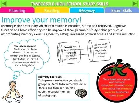 Visual Memory Worksheets | Free Worksheets Samples