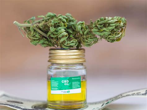 Why Now’s The Time To Start Growing Cbd Cannabis Strains