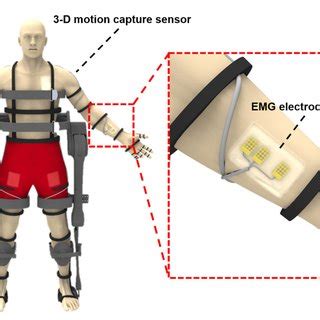 Schematic Of A Walking Aid Exoskeleton And The Skin Attachable