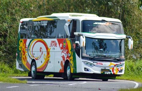 Tren Livery Bus 2023 AKAP Suka Motif Tribal Dan Bus Pariwisata Lebih