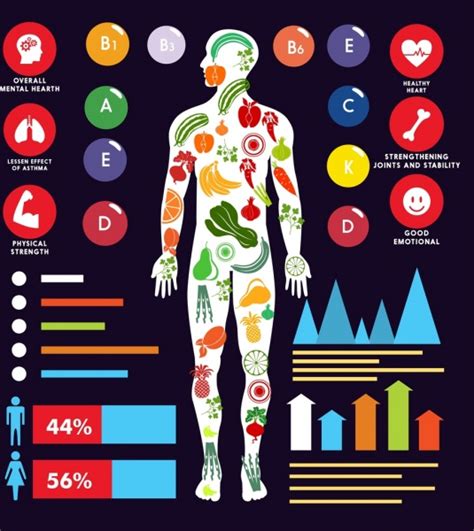 Vitamin Benefits Infographic Human Body Icon Charts Decor Free Vector