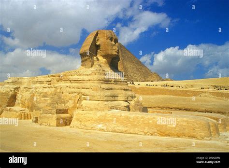 sphinx kairo aegypten sphinx cairo egyth stock photo alamy