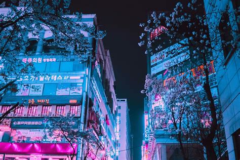 HD wallpaper: reflection, cat, neon, cyberpunk, vaporwave | Wallpaper Flare