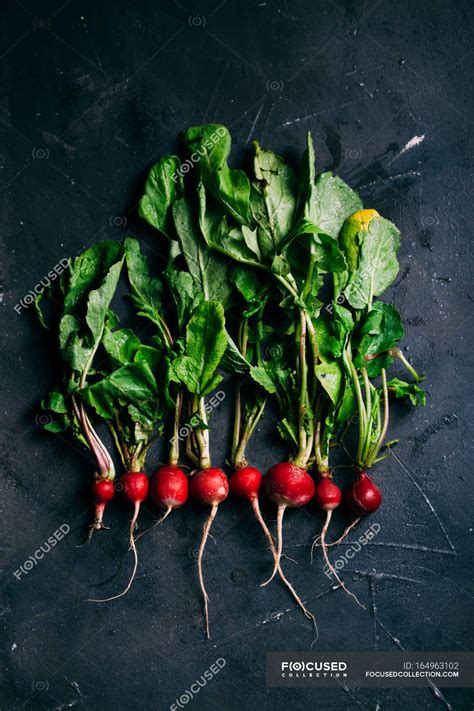 Radish with leaves on dark — ingredient, fresh - Stock Photo | #164963102