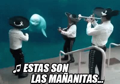 Estas Son Las Ma Anitas Mariachi Las Mananitas Trumpets