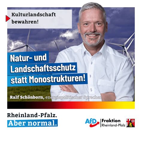 Ralf Sch Nborn Afd Durch Das Neue Landesentwicklungsprogramm Wird