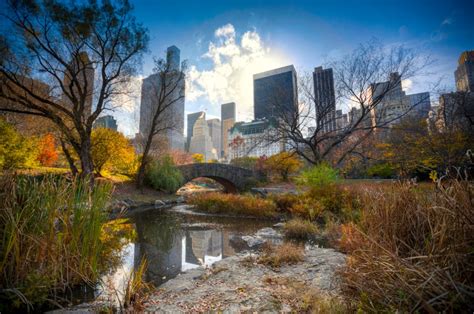 Central Park Fall Panoramic