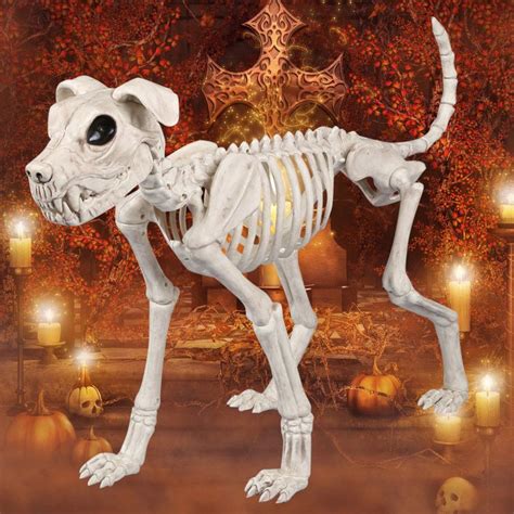 Halloween Decorations Dog Skeleton 2022 – Get Halloween 2022 Update