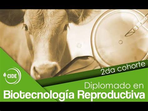 Diplomado en Biotecnología en la Reproducción Animal 2da Edición