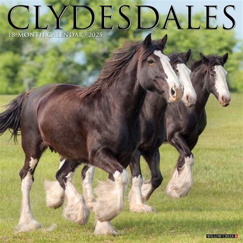 Budweiser Clydesdale Calendar 2025 - Lynea Sharon