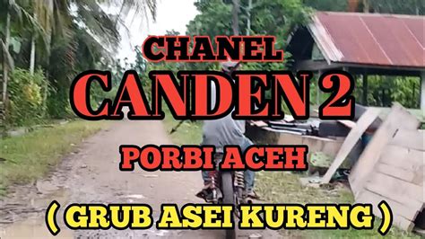 Berburu Babi Besar Di Cempedak Lhoksukon Aceh Utara Youtube