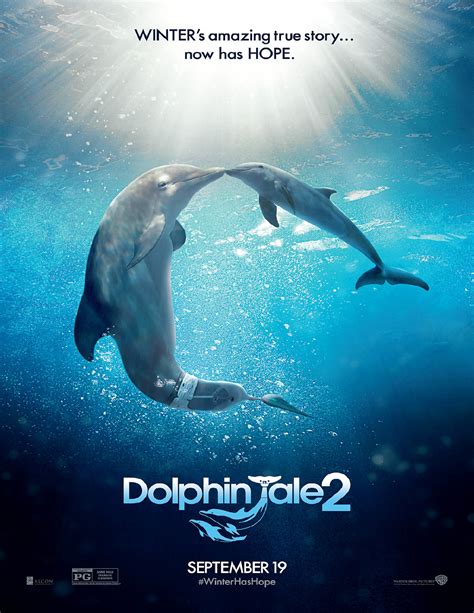 Dolphin Tale 2 Video Featurette And Movie Poster