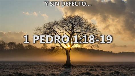 El Poder Transformador De 1 Pedro 118 19 En Tu Vida Cristiana