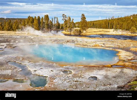 Steaming Hot Spring In Yellowstone National Park Wyoming USA Stock Photo Alamy