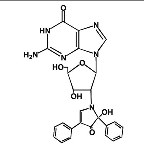 Structure of the fluorescent guanosine derivative, FG | Download ...