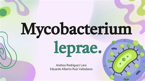 Mycobacterium Leprae Andrea Rodriguez Udocz