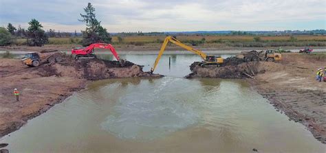 Qwuloolt Estuary Restoration Project Environmental Science Associates