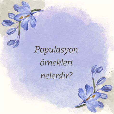 Populasyon Rnekleri Nelerdir Ne Demek Z T Anlam E Anlam