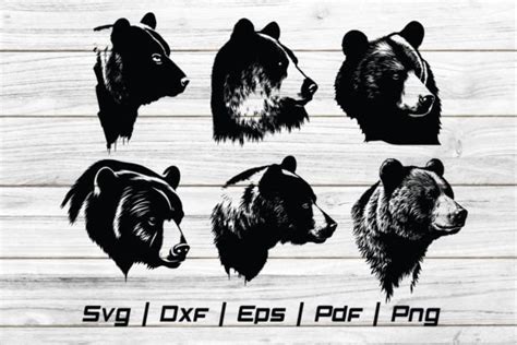 Bear Head Wild Svg File Graphic By Jennadesignsstore · Creative Fabrica