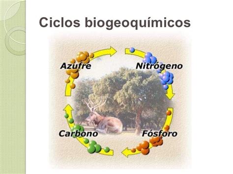 Ceteme La Tragedia Ciclos Bio Geo Qu Micos