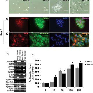 The Genomic Landscape Of Medulloblastoma Top Clinical Histological