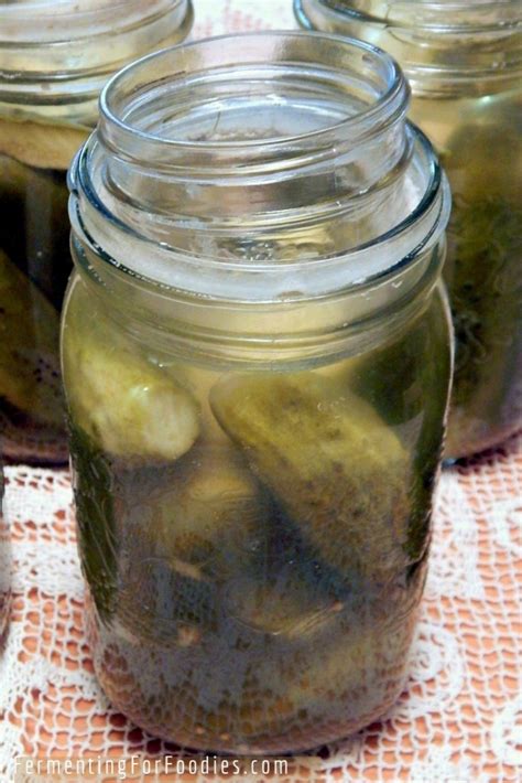 Traditional Fermented Pickles Probiotic And Delicious Fermenting For