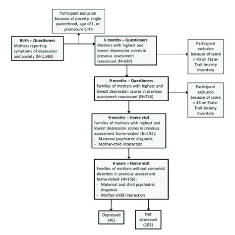 Flow Chart Depicting Sequence Of Assessments Download Scientific Diagram