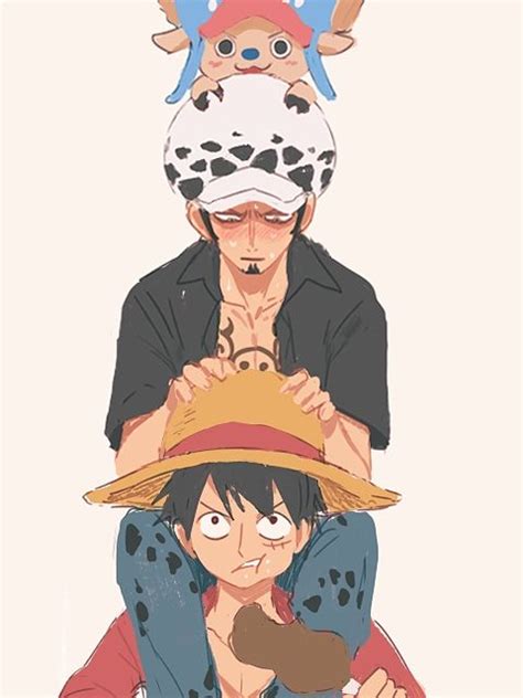 Trafalgar D Water Law Monkey D Luffy Tony Tony Chopper Straw Hat