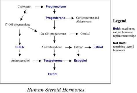 Understanding The Process