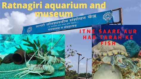 Ratnagiri Marine Aquarium And Museum Itne Saare Aur Har Tarah Ke Fish